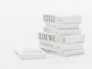 Books White 3D Модель