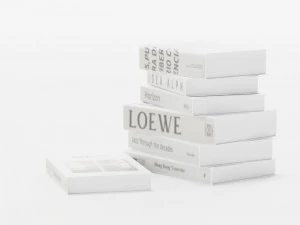 Books White 3D Model
