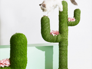 Pet cat stand cactus scratcher 3D मॉडल