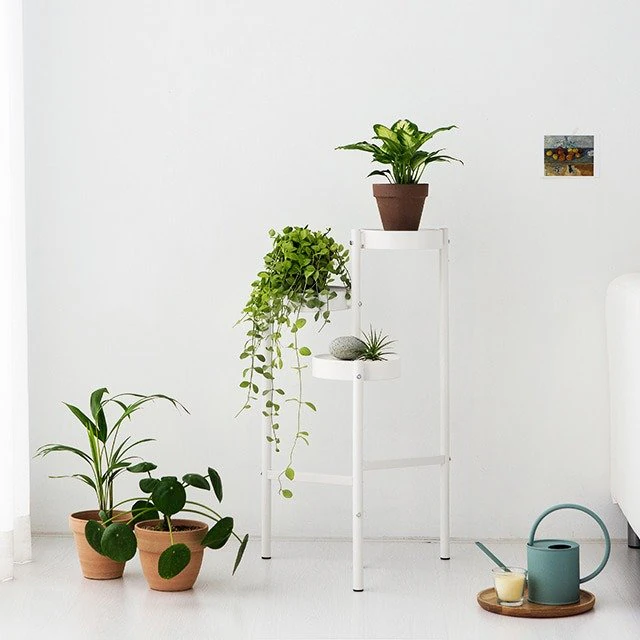 РИШЕЛЬ Полка 3-х ярусная 3D Модель .c4d .max .obj .3ds .fbx .stl .blend 