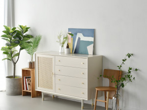 Bund Woody White Rattan 4-Tier Wide Chest of drawers Model 3D
