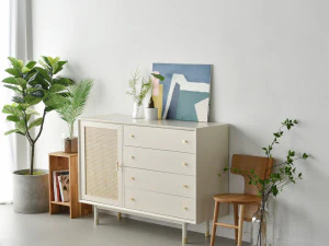 Bund Woody White Rattan 4-Tier Wide Chest of drawers 3D Model