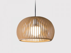 Wood box 1st class pendant light Modèle 3D