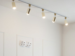 Siero 20 Rail Lighting Date 3D मॉडल