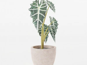 Veludo Preto Modelo 3D