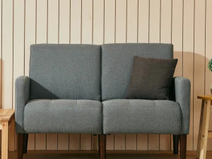 HG 2 person sofa studio 3D Model