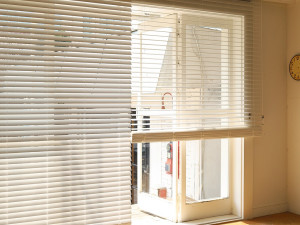 Solid wood paulownia wood blind 3D 模型