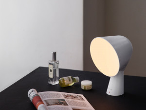 Wireless LED mood light 3D Model