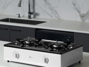 Eco 2 burner gas stove Modèle 3D