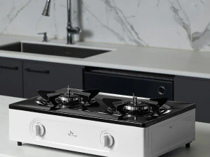 Estufa de gas eco 2 fuegos Modelo 3D