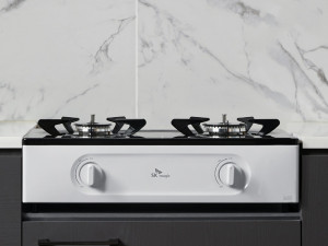 Eco 2 burner gas stove 3D 모델