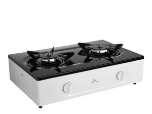 Eco 2 burner gas stove 3D 모델