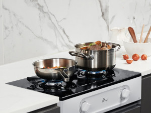 Eco 2 burner gas stove 3D 모델