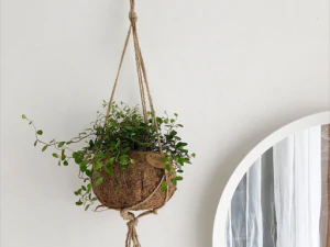 ココナッツマクラメ吊り下げ植物 3Dモデル