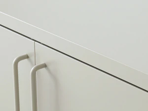 PIDOR cabinet 2 door storage 3D Model