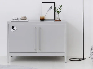 PIDOR cabinet 2 door storage 3D Model