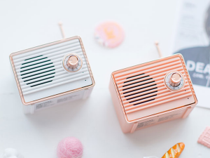 Melody Portable Bluetooth Speake 3D Model