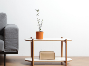 Homaika Shelf Bookshelf 3D Model