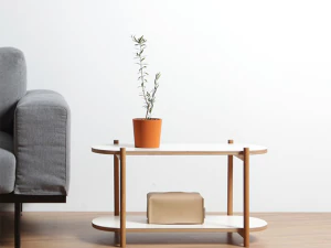 Полиця Хомайка Книжкова полиця 3D Модель