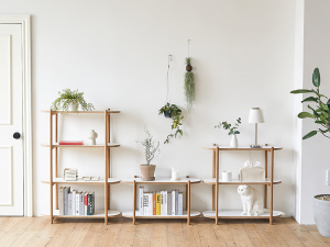 Homaika Shelf Bookshelf 3D Модель