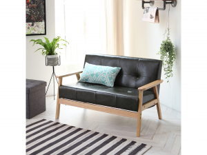 Leo 2-person leather solid wood sofa 3D Model