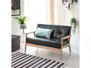 Leo 2-person leather solid wood sofa 3D Model