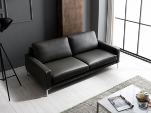 Natural cotton leather cowhide sofa Model 3D