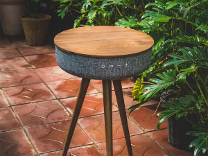 W301T Bluetooth table speaker 3D Model