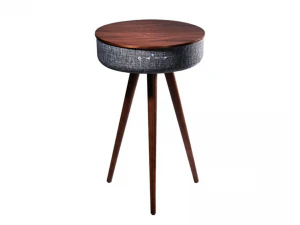 W301T Bluetooth table speaker 3D Model