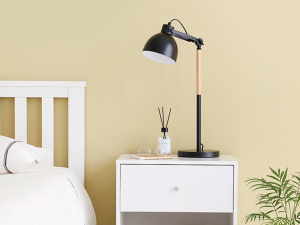 AGEN stage stand E26 KS2087T Model 3D