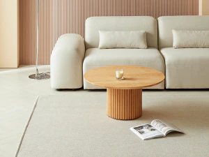 Washable four seasons carpet 3D Model