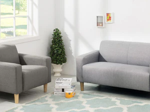 Pico 1 person artificial leather sofa 3D Model