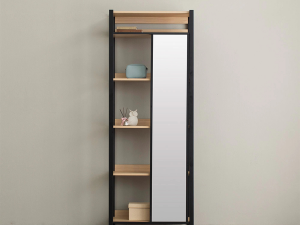 Mirror Sliding Shelf 3D Model