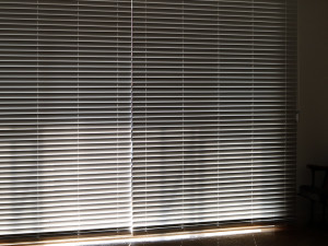 Solid wood paulownia wood blind Modelo 3D