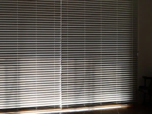 Kayu paulownia kayu solid buta Model 3D