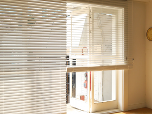 Solid wood paulownia wood blind 3D 모델