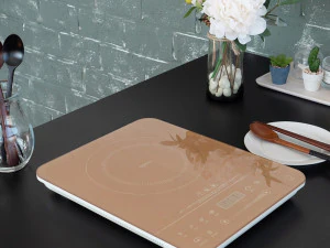 индукционная электроплита с 1 конфоркой 3D Модель