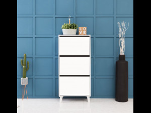 Entrance shoe cabinet 600 Modelo 3D