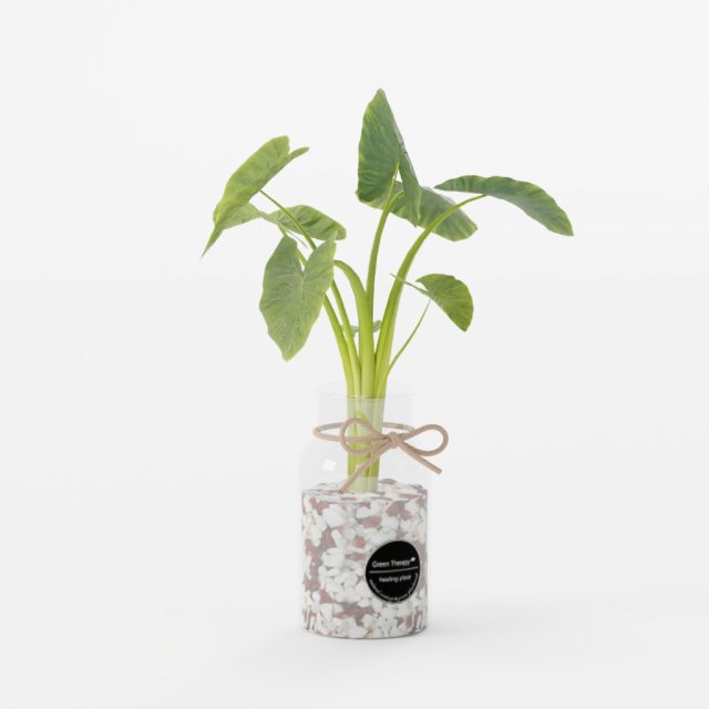 Glass Fishbowl Bowl Hydroponics Plant SET 3D Модель .c4d .max .obj .3ds .fbx .stl .blend 
