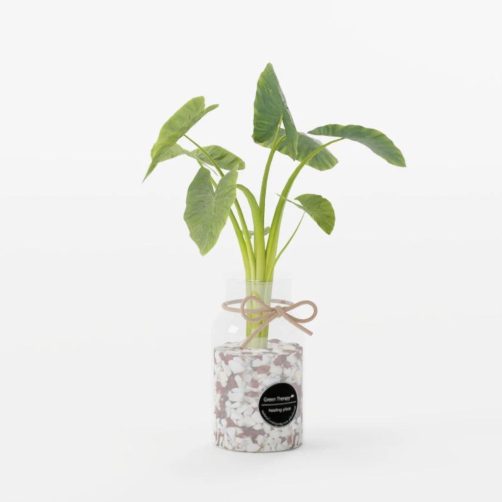 Glass Fishbowl Bowl Hydroponics Plant SET 3D Model .c4d .max .obj .3ds .fbx .stl .blend 
