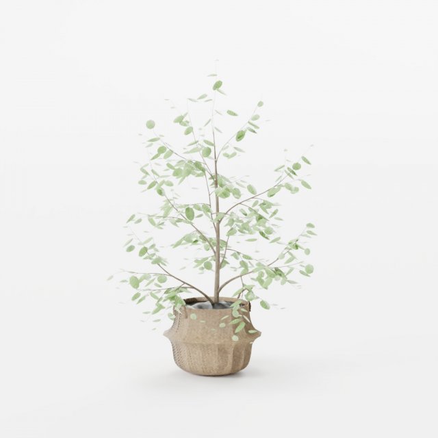 Tree Seaweed Basket 3D Model .c4d .max .obj .3ds .fbx .stl .blend 