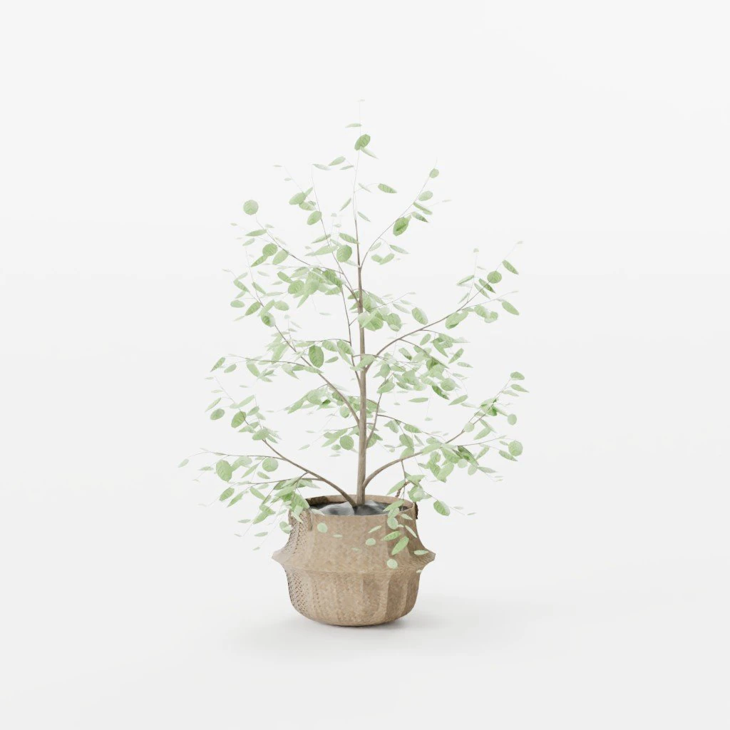 Tree Seaweed Basket 3D Model .c4d .max .obj .3ds .fbx .stl .blend