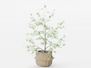 Tree Seaweed Basket Modello 3D