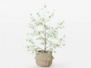 Ağa&ccedil; Yosun Sepeti 3D Model