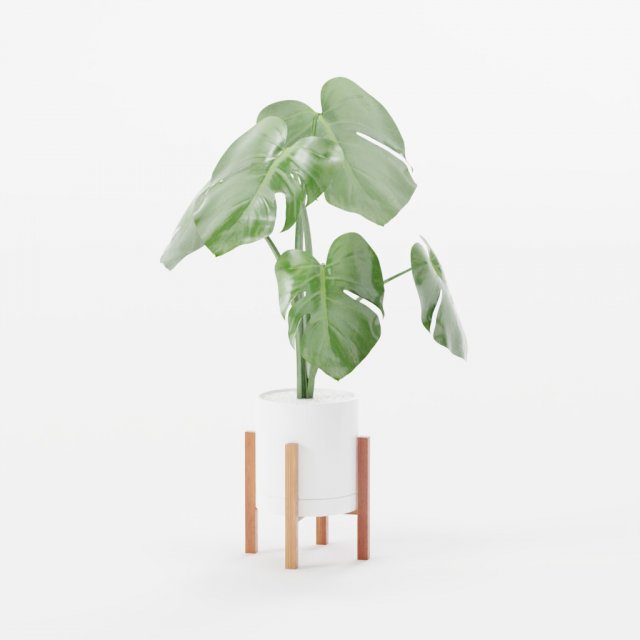 Wood Stand Potted Air Purifying Plant Set 3D 모델 .c4d .max .obj .3ds .fbx .stl .blend 