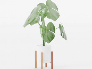 Набір рослин для очищення повітря в горщику з дерев&rsquo;яною підставкою 3D Модель