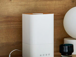 4L Daily Wood Humidifier Washing 3D Model