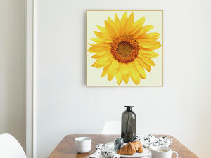Sunflower Frame Bringing Good Modelo 3D