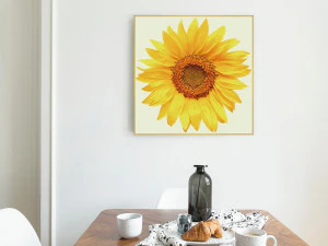 सूरजमुखी फ़्रेम अच्छा ला रहा है 3D मॉडल