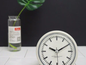 レトロなバスルーム用防水時計 3Dモデル